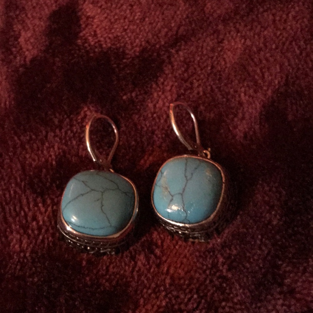 pair of earrings